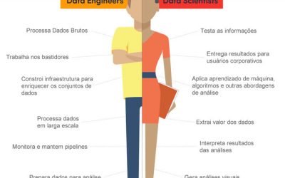 Engenheiro de Dados e Cientista de Dados